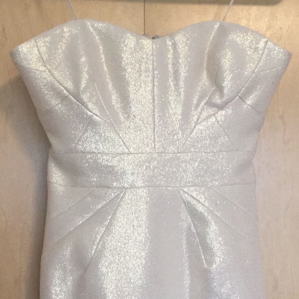 Zac Posen Strapless Dress - Picture 7 of 14